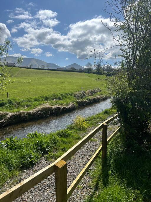 Riverside Cabin Limerick Junction Eksteriør bilde