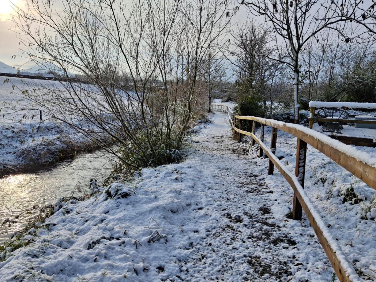 Riverside Cabin Limerick Junction Eksteriør bilde