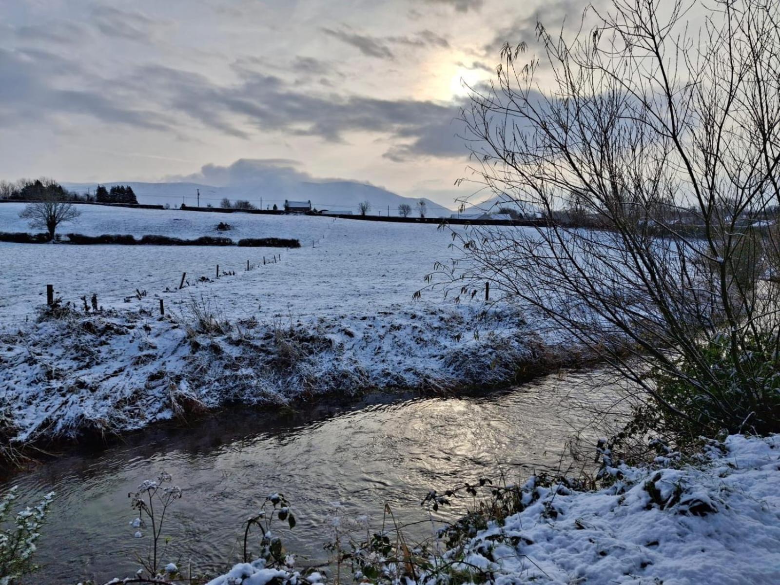 Riverside Cabin Limerick Junction Eksteriør bilde